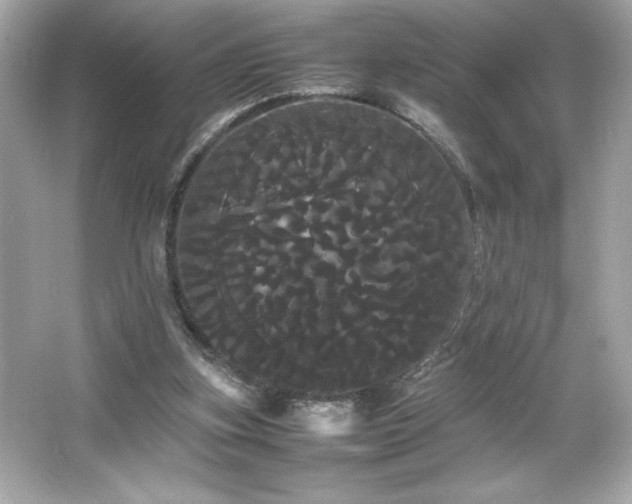 X0000066500155200603201332