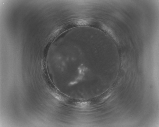 X0000066500161200603201332