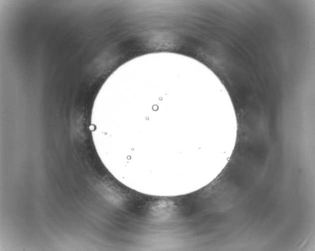X0000066500162200603201332