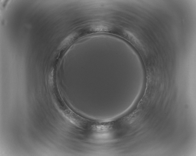 X0000066500163200603201332