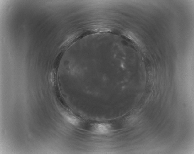 X0000066500165200603201332