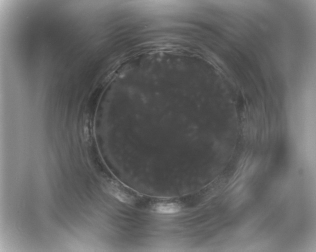 X0000066500169200603201332