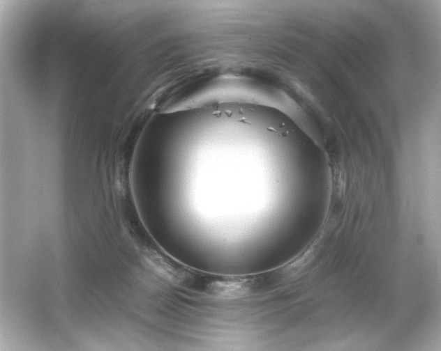 X0000066500170200603201332