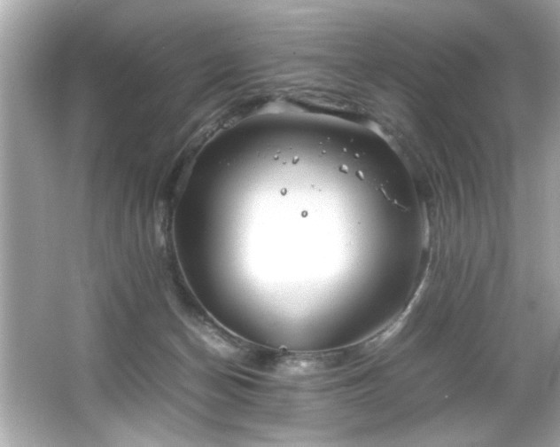 X0000066500174200603201332