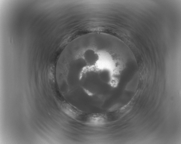 X0000066500175200603201332