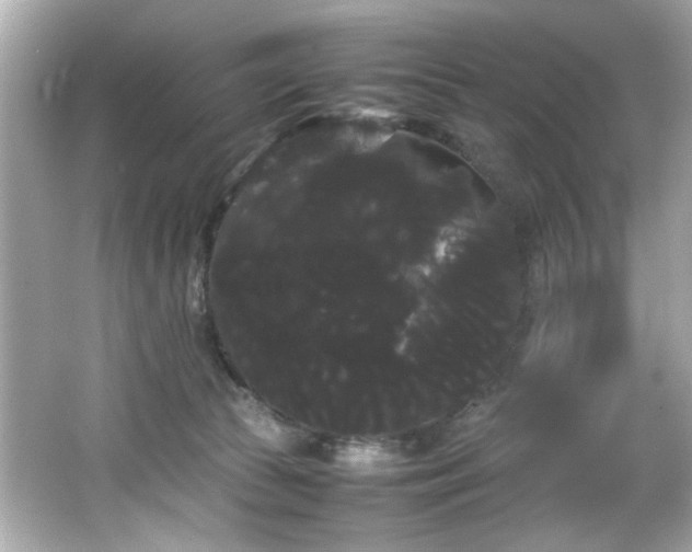 X0000066500177200603201332