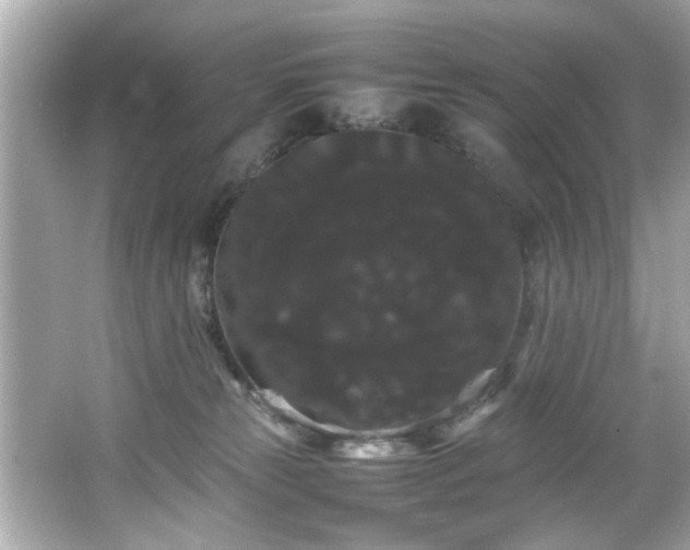 X0000066500181200603201332