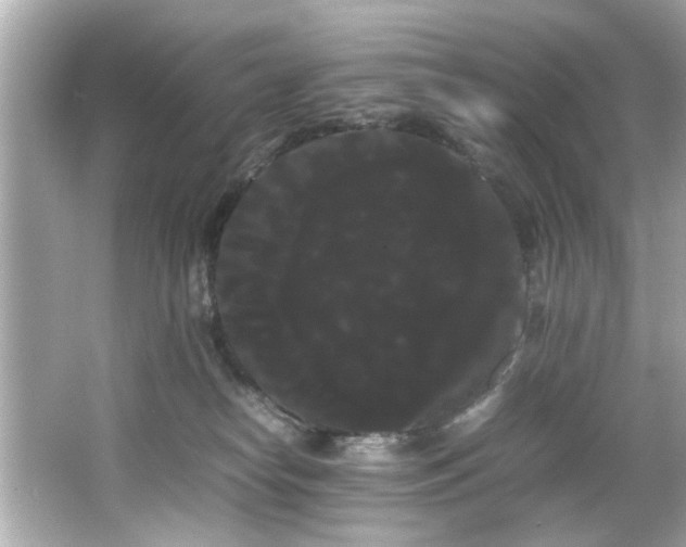 X0000066500182200603201333
