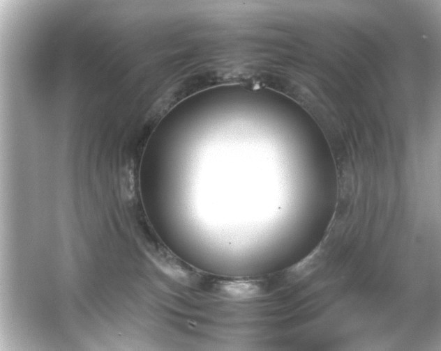 X0000066500183200603201333