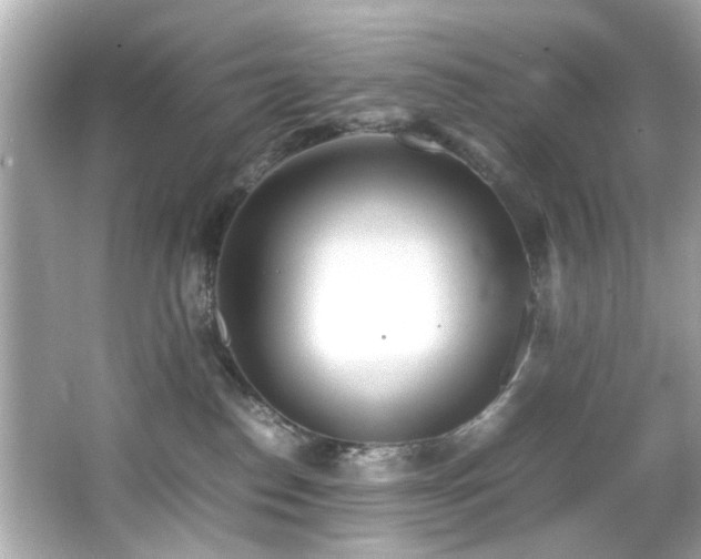 X0000066500186200603201333