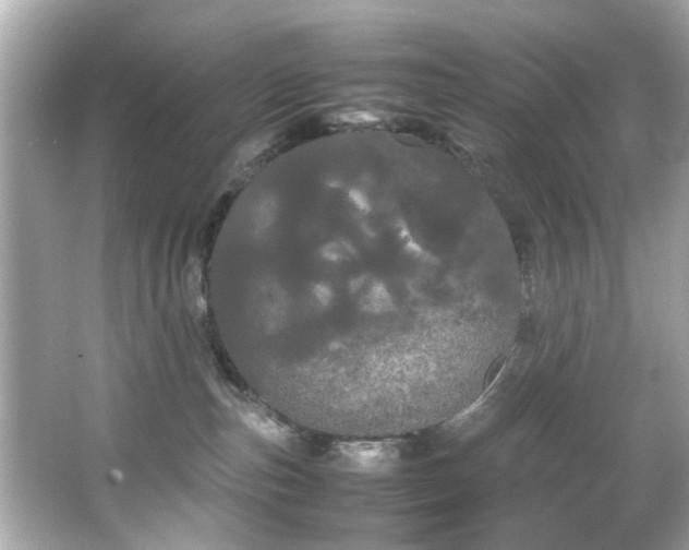 X0000066500187200603201333