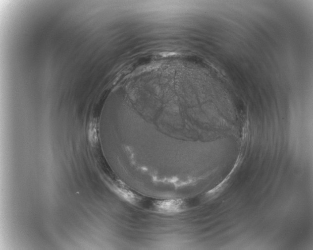 X0000066500191200603201333