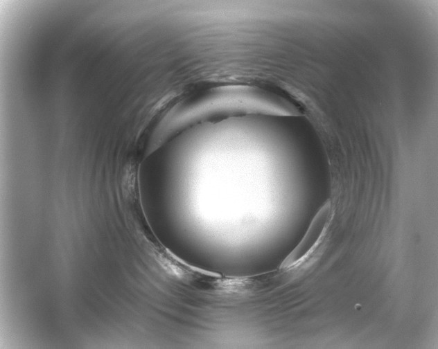 X0000066500192200603201333