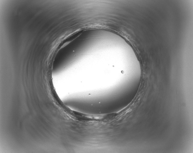 X0000066500193200603201332