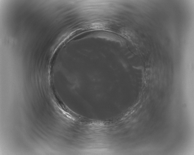 X0000066500194200603201332