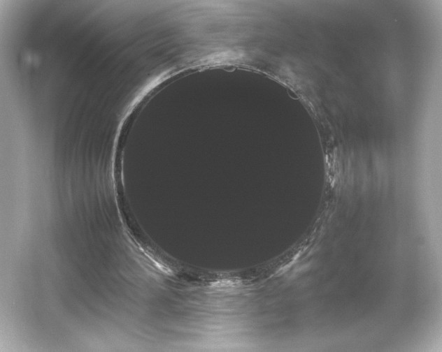 X0000066500196200603201332