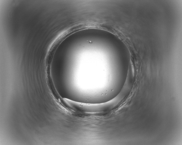X0000066500197200603201332
