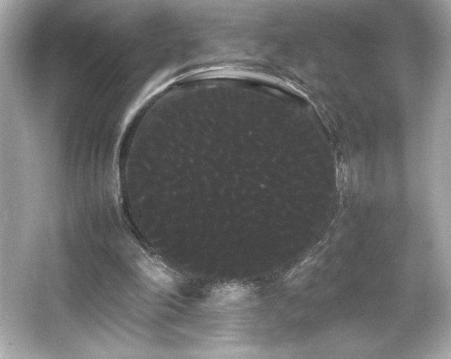 X0000066500198200603201332
