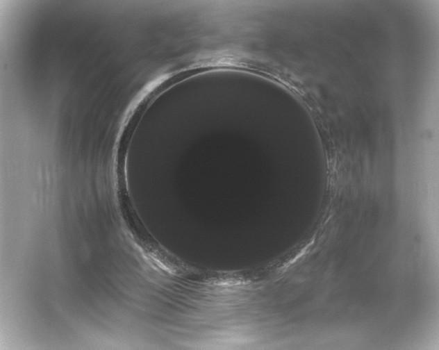 X0000066500200200603201332