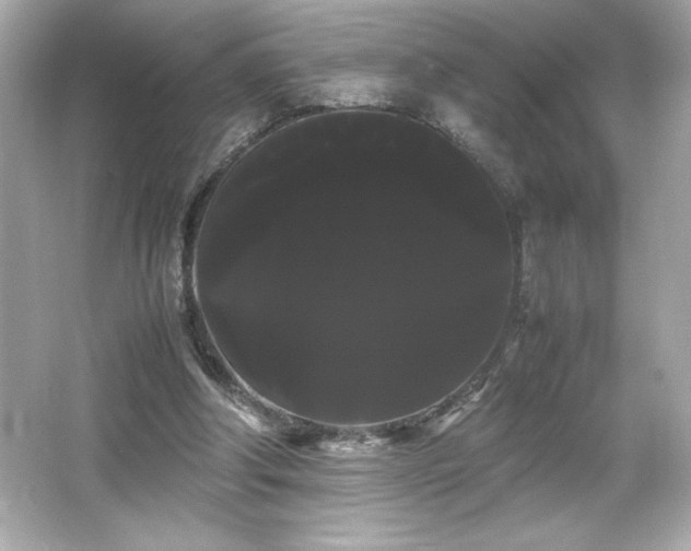 X0000066500202200603201332