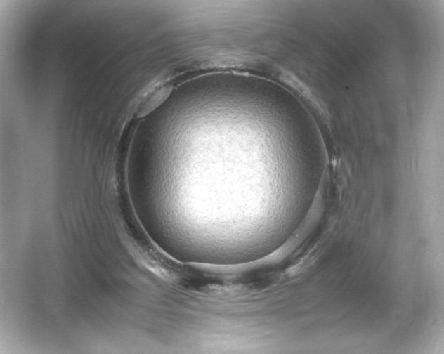 X0000066500203200603201332