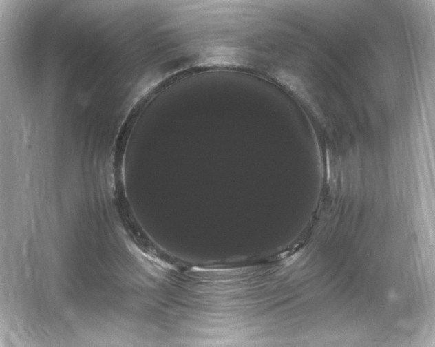 X0000066500204200603201332