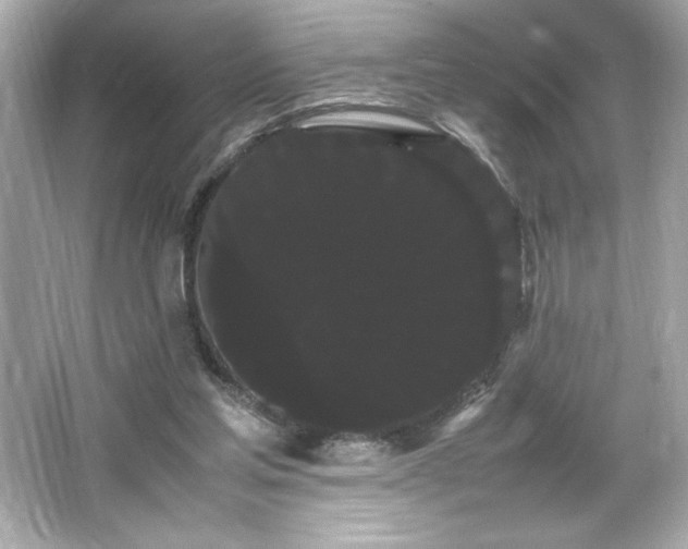 X0000066500205200603201332