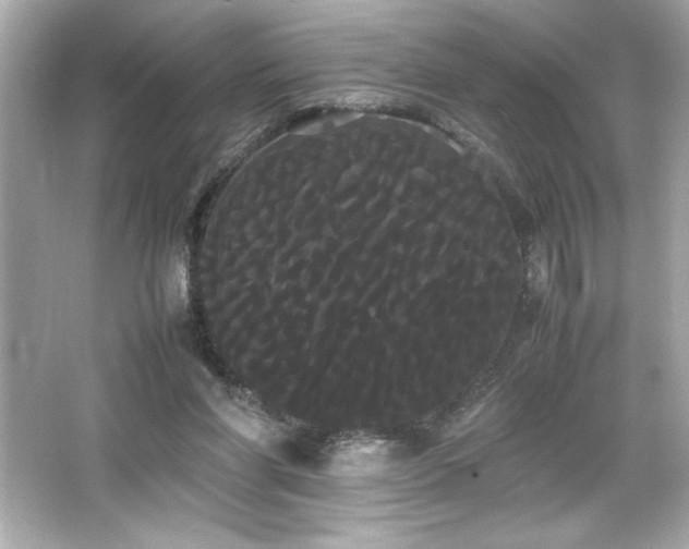 X0000066500206200603201332