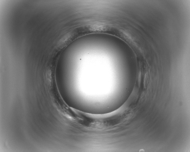 X0000066500211200603201332