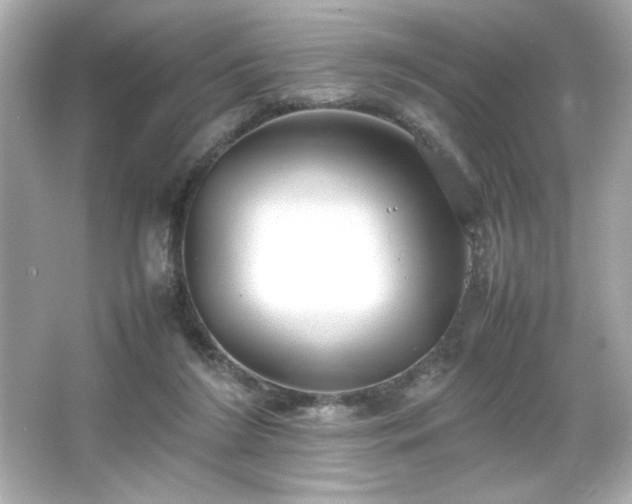 X0000066500212200603201332