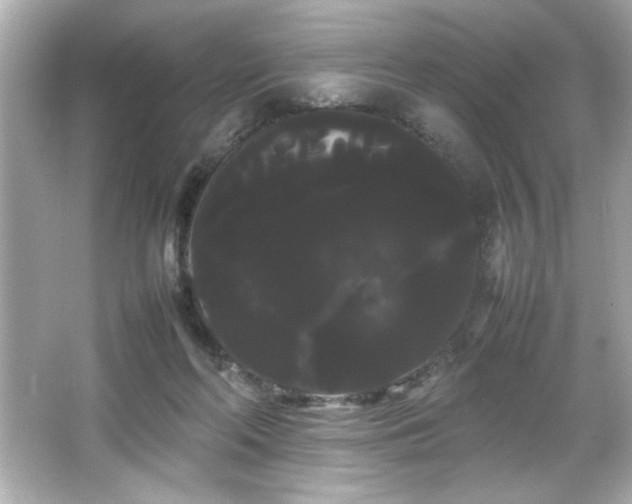 X0000066500214200603201332