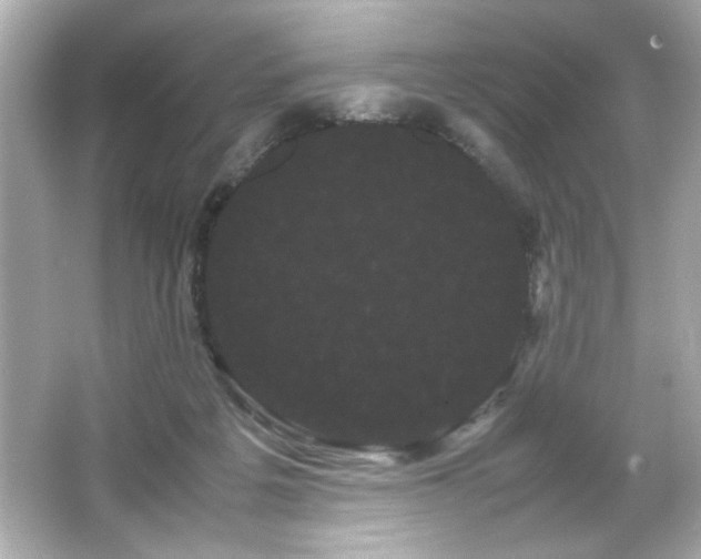 X0000066500217200603201331