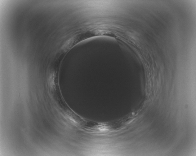 X0000066500219200603201331