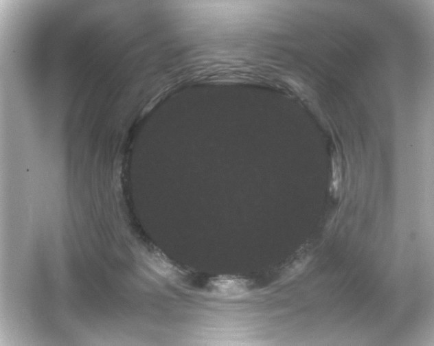 X0000066500221200603201331