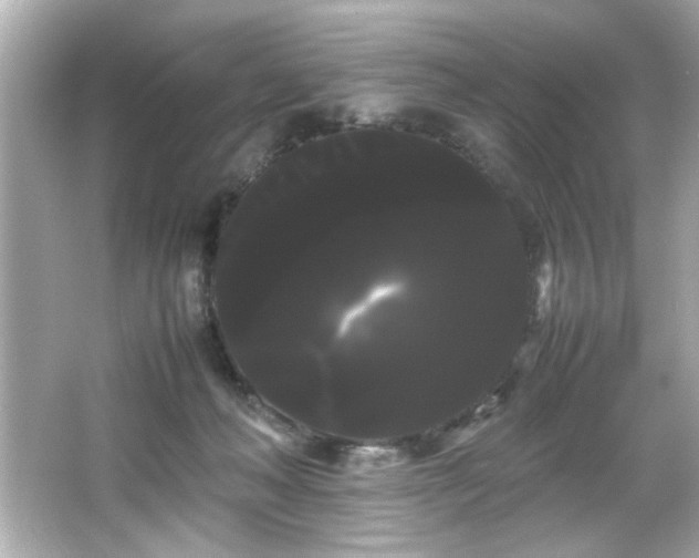 X0000066500222200603201331