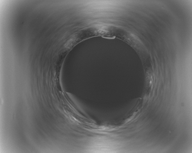 X0000066500223200603201331