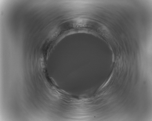 X0000066500224200603201331