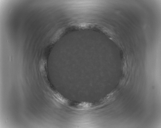 X0000066500225200603201331