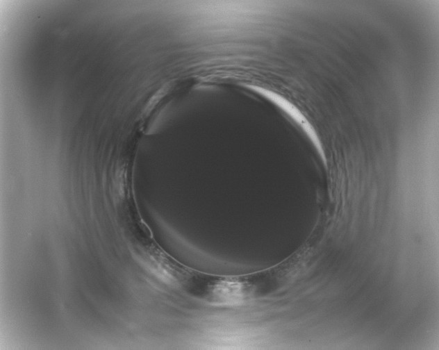 X0000066500227200603201331