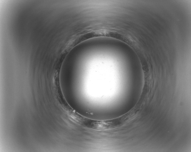 X0000066500229200603201331