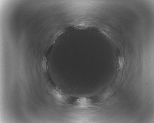 X0000066500231200603201331