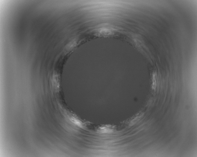 X0000066500232200603201331