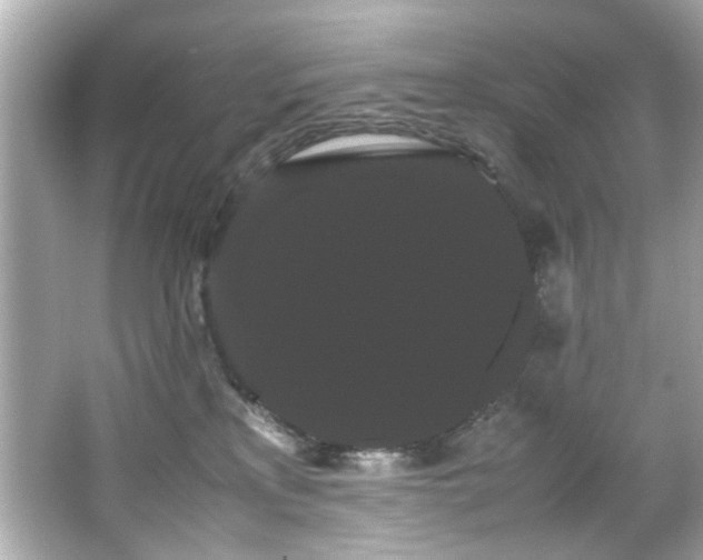 X0000066500233200603201331