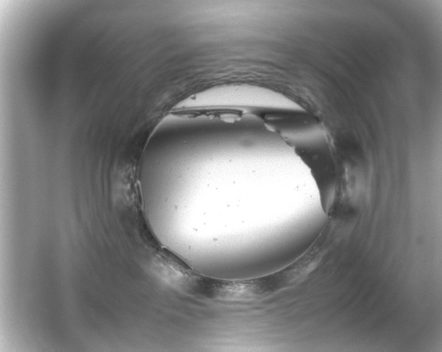 X0000066500237200603201331