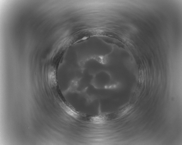 X0000066500238200603201331