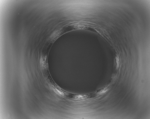X0000066500239200603201331