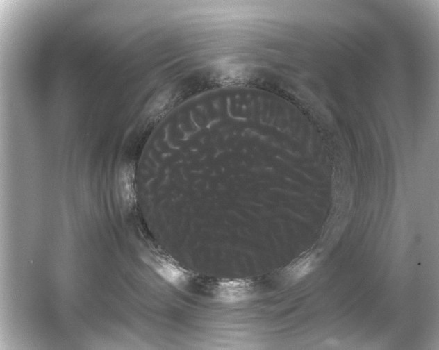X0000066500240200603201331