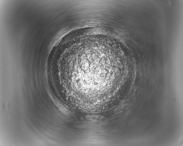 X0000066500242200603201330