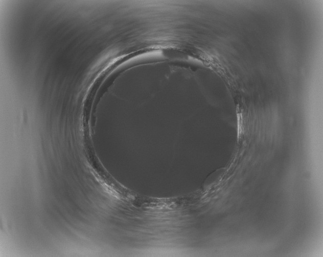 X0000066500243200603201330