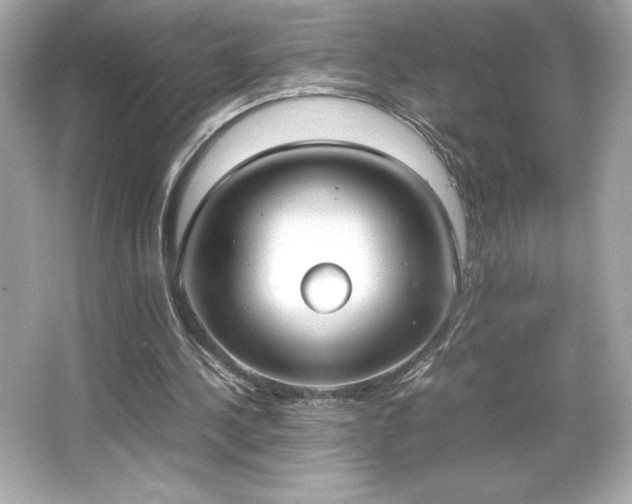 X0000066500244200603201330